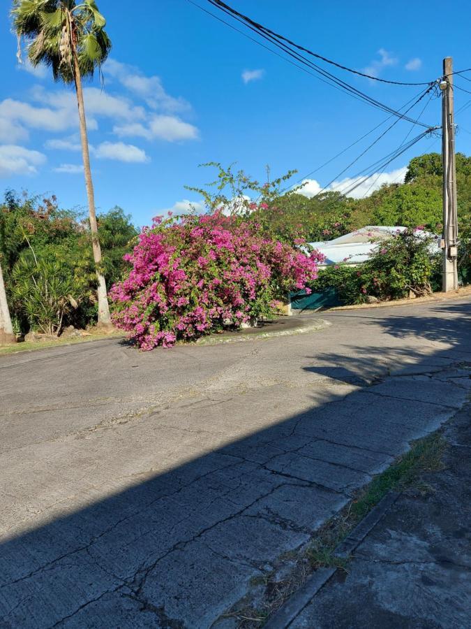 Appartements Residence Mahoghany Sainte-Anne Luaran gambar