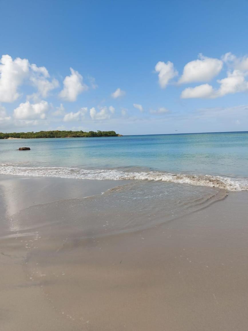 Appartements Residence Mahoghany Sainte-Anne Luaran gambar